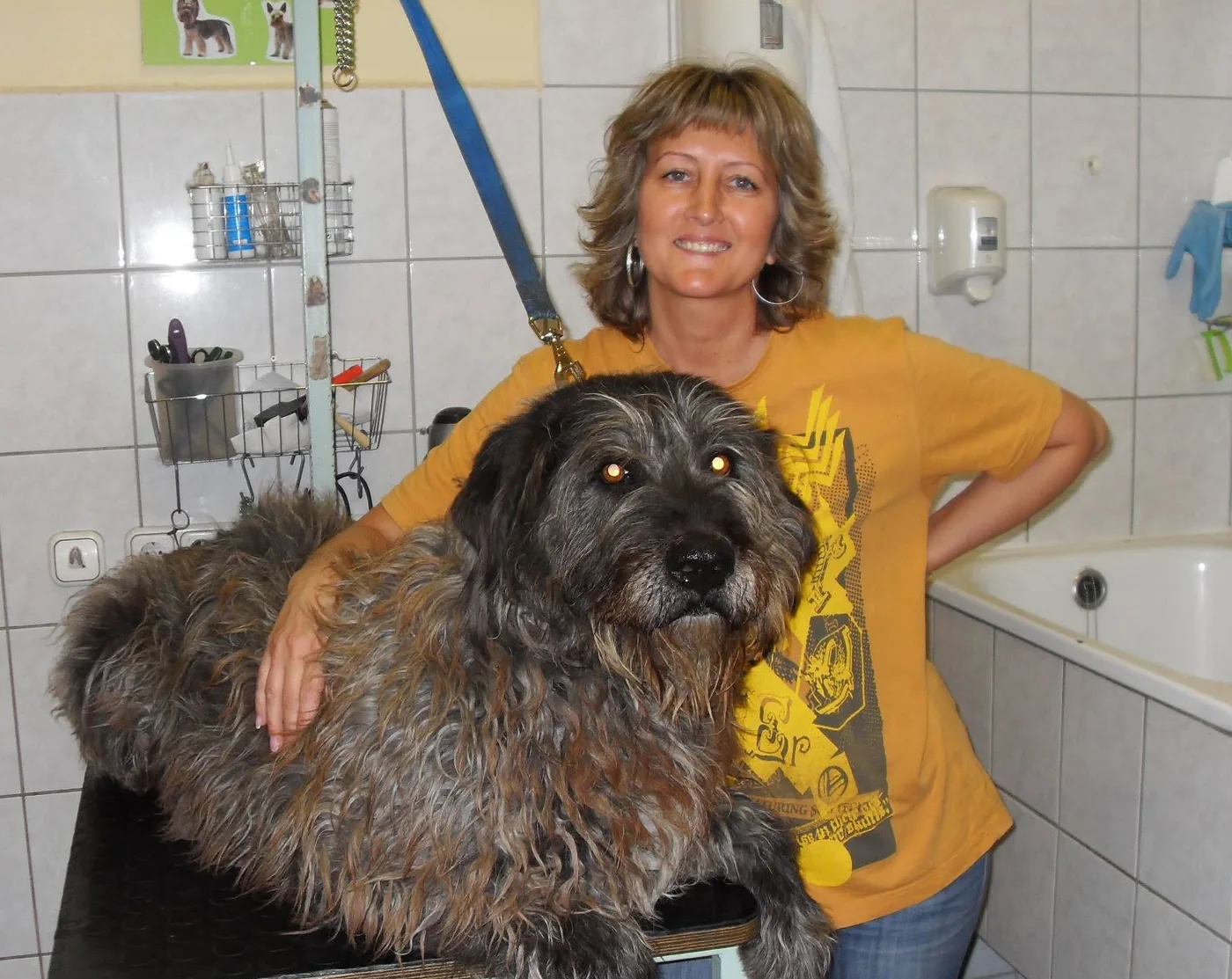 Györgydeák Yvette mosolyog a kozmetikai asztal mellett, átöleli az asztalon fekvő nagy, bozontos, szürke kutyát